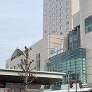 도쿠시마역 근처 3성급 가성비 스마일 호텔 도쿠시마 내돈내산 후기