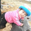 해맑은2농장 이미지