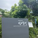 [마니산] 마니산 코스 정리 등산 후기 쉬운 코스 꿀팁 주차정보