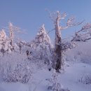 ♣1月27日水曜日出席簿~~~!^^*♡겨울산 나목♡~~~!^^*♣ 이미지