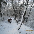 산성등산로1 이미지