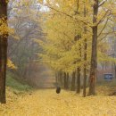 하반기 타박타박 인천 이미지