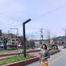 레몬드레스