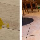 동편동물병원 이미지