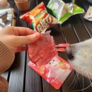 신의주순대와쭈꾸미청학점 이미지