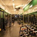 핏머슬짐 이미지