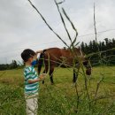 현규목장 이미지