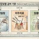 블루원빌딩 | 치과 현지조사 리스크 구조 보험 스케일링 치주치료 임플란트가 먼저 포착되는 이유