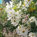 꺽쇠한우 이미지