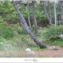 주전가족휴양지캠핑장화장실 이미지