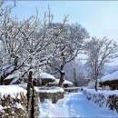 외암마을 이미지