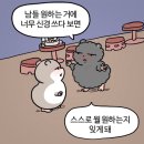 예예 이미지