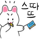 도토리클린 이미지