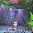 가족뮤지컬 <어중씨 이야기> | JTBC 스튜디오 일산 에그박사와 아마존 대탐험 여름방학 가족뮤지컬 후기