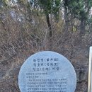 월호도요 이미지