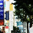 서울윌치과 이미지