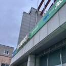 기린숲마트 | 인제 자작나무 숲 근처 하나로마트 기린점 후기