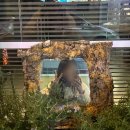 실로 | [부산/전포 술집 추천] 전포 안주 진짜 맛있는 칵테일바, 분위기 맛집 '실로' 내돈내산 후기(+화장실)