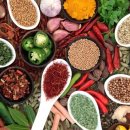 명여행사 이미지