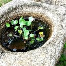 청림원 이미지