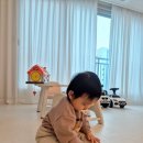 28-A | 12개월 28개월 아기 열감기 A형독감 증상 치료 후기