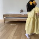 벌룬플라워 이미지