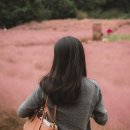 두정역길 | 천안 미용실 추천, 하월헤어 두정역점 레이어드 C컬펌 후기