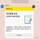 토론토 동물병원 | 렌트 구하기/대한항공 KE073/캐나다 esim 설정/토론토 피어슨 입국심사 스터디퍼밋 배우자 오픈워크퍼밋
