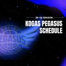 대구실내체육관(B) 이미지