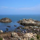 기장바다수산 이미지