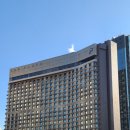 플라자호텔 이미지