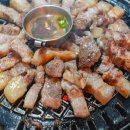 돼지짱 이미지