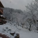 바위섬펜션 이미지