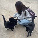 카페애룡호수 | 파주 애룡 커피테라스 | 애룡저수지 카페에서 불멍 가능한 파주 법원읍 카페