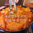 떡볶이심리학 | [떡볶이 심리학] 🌶️ 매운 거 좋아하세요? 성북동 ‘떡볶이 심리학’ 솔직 후기!