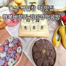 울산 예단떡 이바지떡 백일상 떡 맛집 행복버무리 김미경떡공방 내돈내산 후기