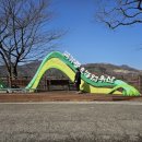 녹차왕국 국가중요농업유산 보성 전통차 농업 녹차밭 여행 중