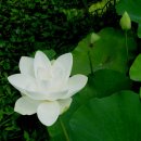 무한사랑 이미지