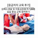 동부보건소 | [응급처치 교육 후기] 2025년 동부 보건소 심폐소생술 및 자동심장충격기(AED) 실습 중심 교육 참여후기