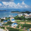 대일수산