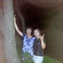 갈멜사슴농원 이미지