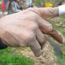 무주 농원 이미지