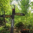 설월리약수터 이미지