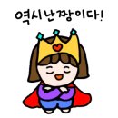 스카이 애견 이미지