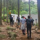 우면산7-2-2 이미지