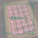 캠스존 네이버블로그