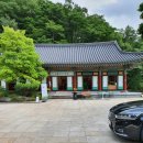 스테이 하구 이미지