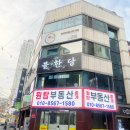 대구동성로호스텔 | 대구 대구역 술집 동성로 핫플 한우 육회랑 돈까스가 맛있는 교동 불한당
