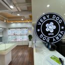 베리독 강아지고양이 평택본점 이미지