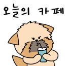 콩카페이태원점